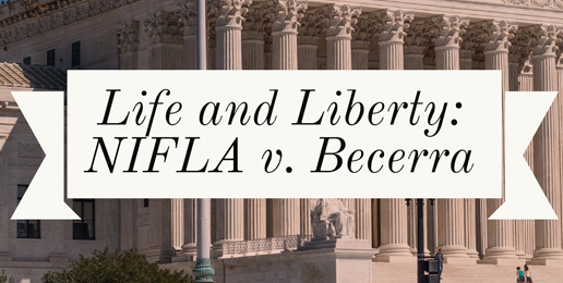 PLLDF HELPS FILE ANOTHER IMPORTANT AMICI CURIAE BRIEF WITH THE U.S. SUPREME COURT